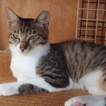 エニちゃん (5).JPG